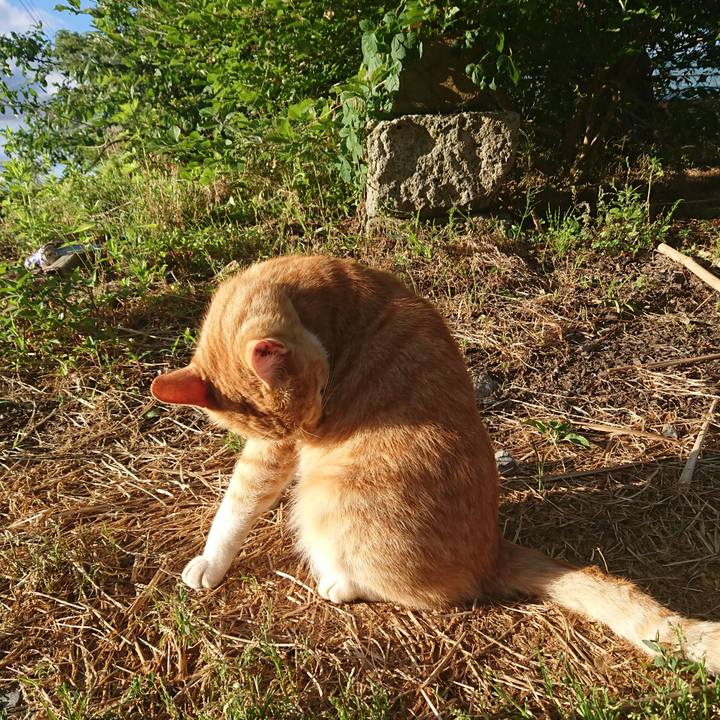 06996d73 0864 4cfb b2a2 3a6b7929d599 1592340309559