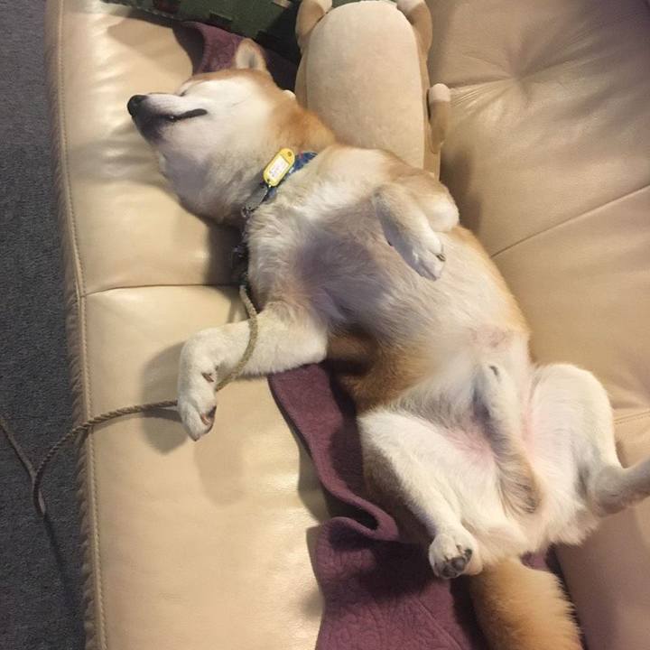 06998a97 0753 4e0e a013 9a438c2d5f41 1546097894599