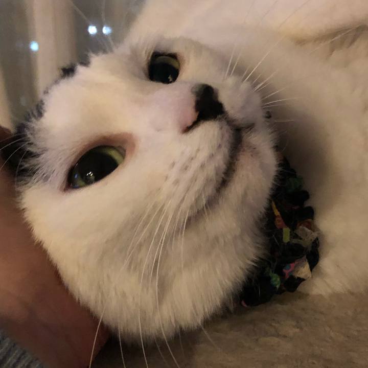 0699ac49 0841 40a3 8adf db79346e6c12 1551191715103