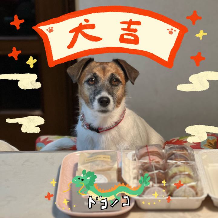 0699c45d a4f4 440b 819d 31cc8371a8d5 1704083318457