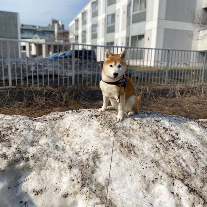 0699f514 eed1 459d 967f 9aa565630ab9 1680591524741