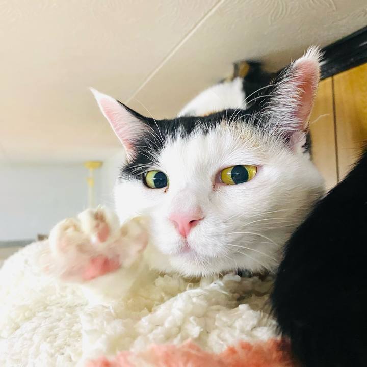 0699fd05 43e9 432f 939f 1a9c9bfb9aab 1739193830396