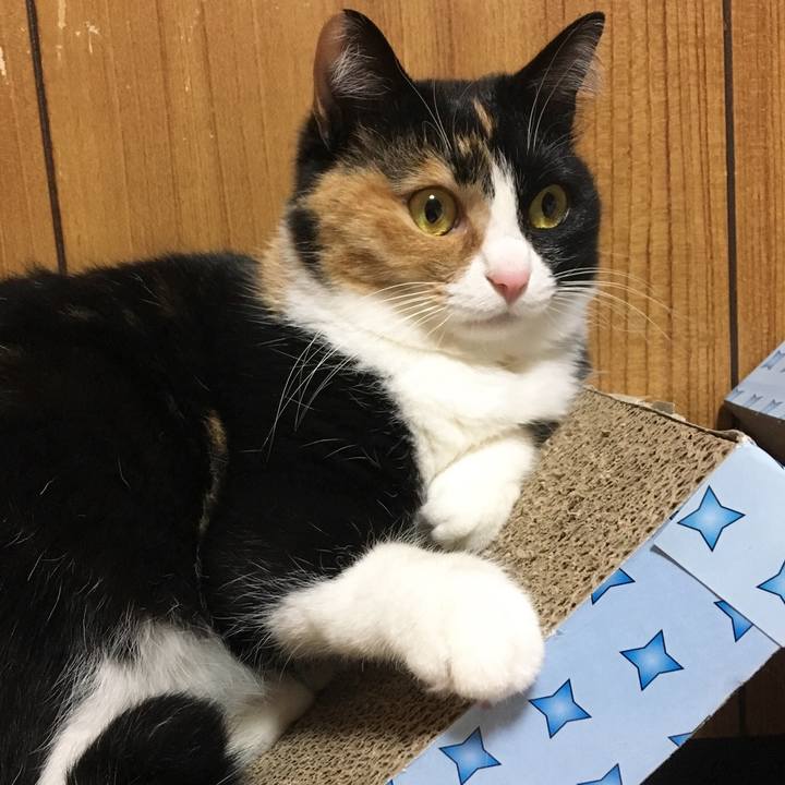 069a3179 9d45 45d0 a6e1 4aa36bdb0b1a 1514725771243