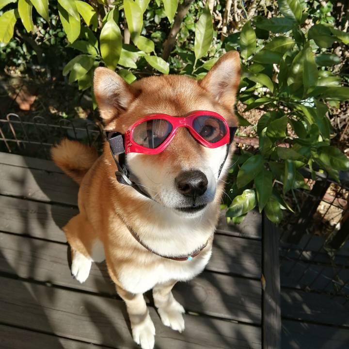 069a653e c03f 40ef a13b 82b329a192ff 1582003563626