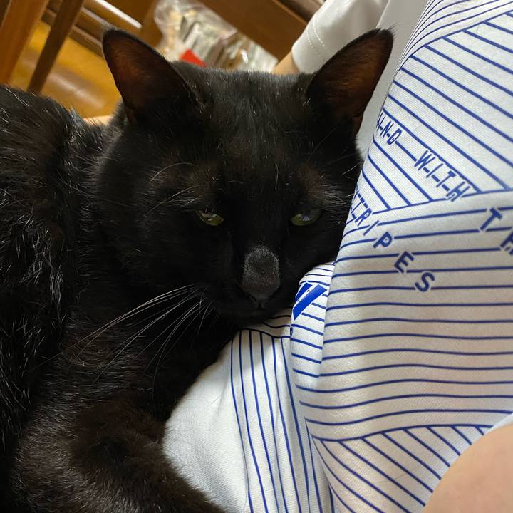 069a6a51 9d23 49ab 864f f11c30918647 1628727022808