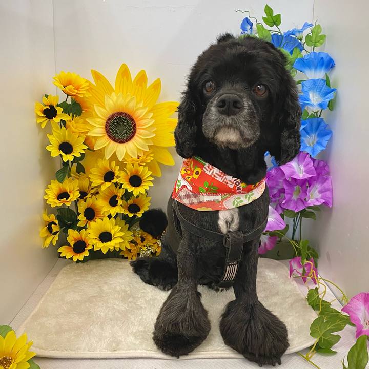 069a9d64 1a3d 4c31 ad15 08ae05eb4828 1626419595494