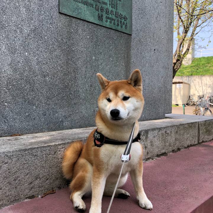 069aaa78 ee50 4ccc abe6 49f93aee01aa 1526609948255