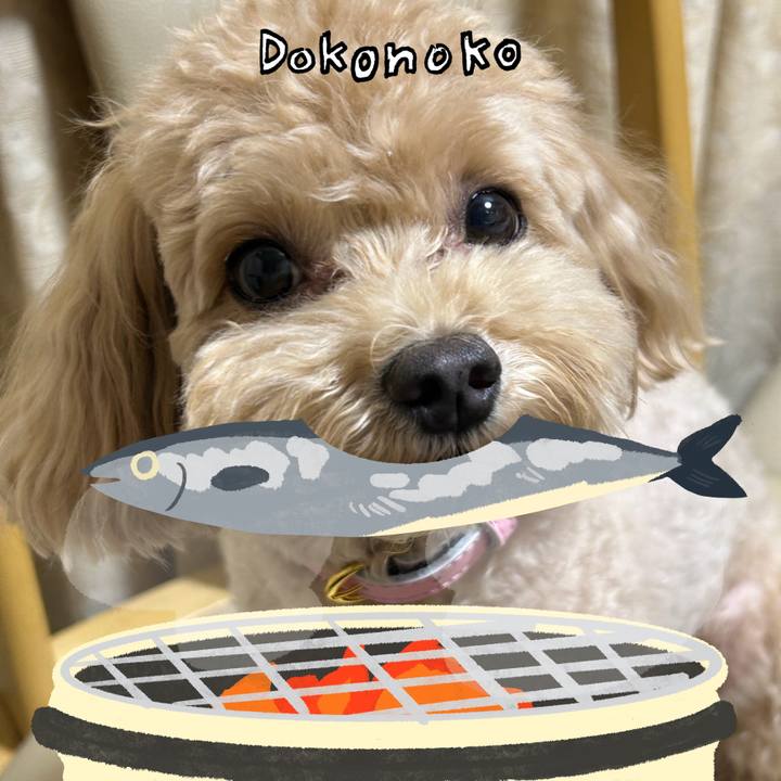 069b3d71 5dad 479c b6ef 1b2a36c3a357 1761362168047