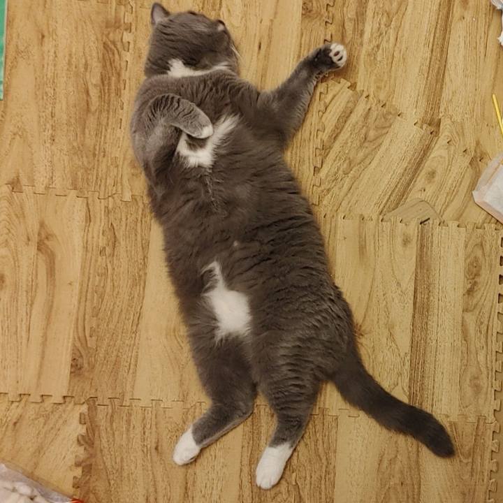 069b8897 c62c 4335 8f2d 62439dac9260 1624759289872