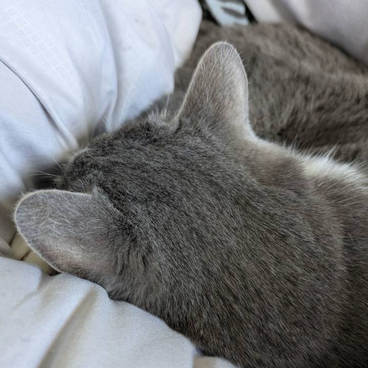 069ba320 913b 4851 bd83 f081f41e10f6 1772848857707