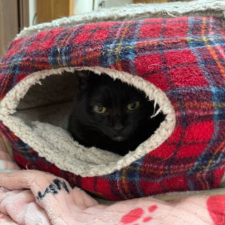 069c2391 8474 4bd3 a768 afc6336f0ed1 1766196300376