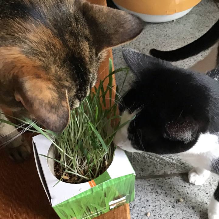 069c2637 13d4 4c88 85c8 69f9fccbfd3b 1654056160262