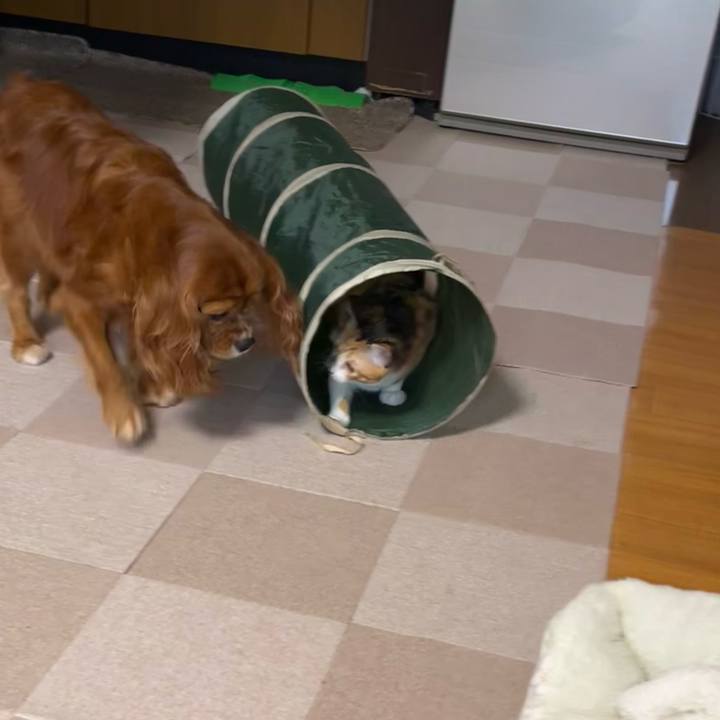 069c3ceb f5c7 48a0 a0fb bf1383e93b92 1662071634577