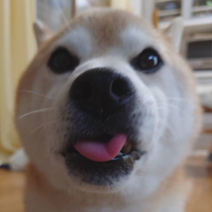 069c8ed2 4fed 48d5 ad5b 9a664820964b 1654734695460