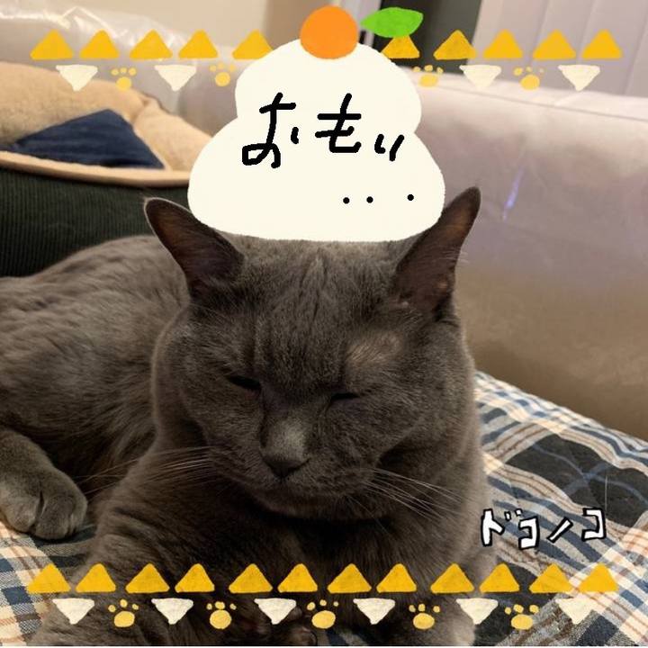 069c96dc 0929 4839 8780 ef07848353e3 1704205064513