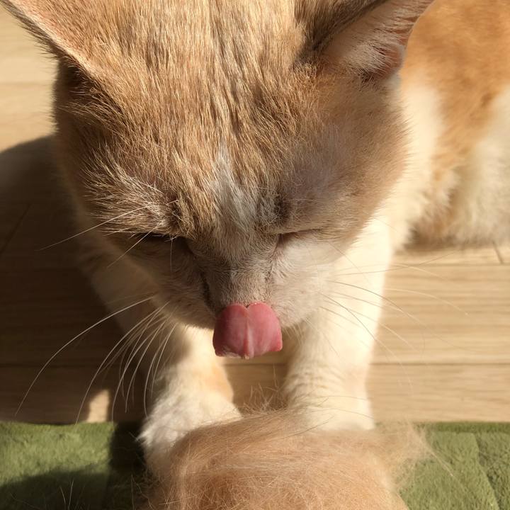 069c9b92 afd8 4f1f 9a00 914df2b7af7d 1566603256654