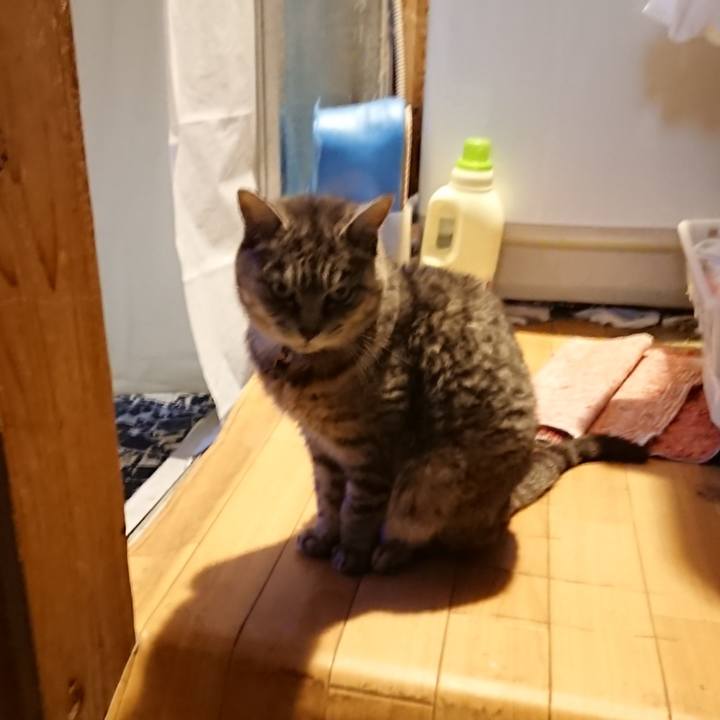 069cbc9a 794c 4727 8f39 809c226e0e60 1573285776171