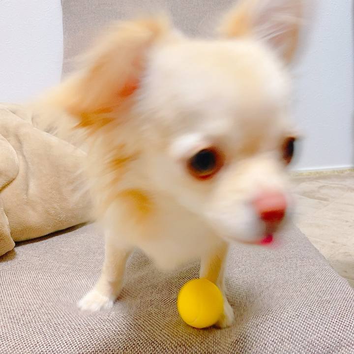 069cf5a2 df5d 46d8 9d3b 68cf2fea3d32 1620532526002