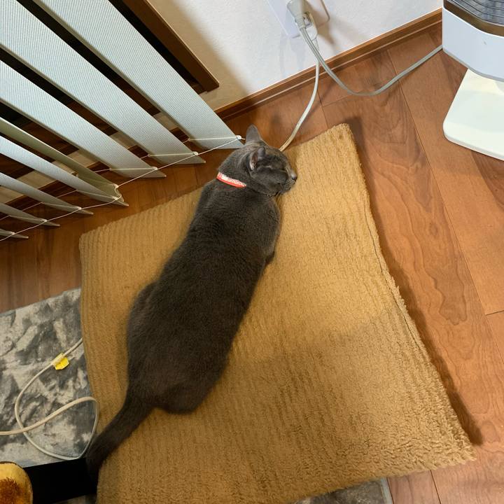 069d31f5 f4c8 447d a358 a8191b1de2b6 1606137614306