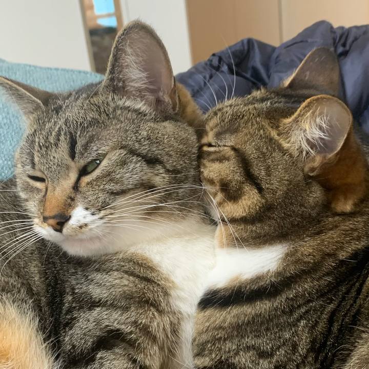 069d5136 9831 4fc9 aa93 1c3e4a632b30 1619523833772