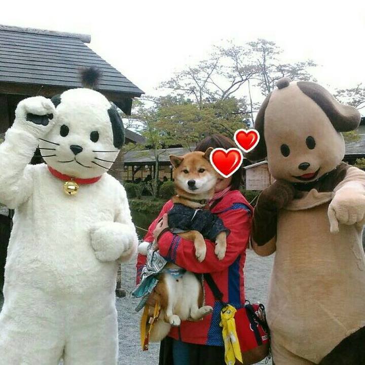 069db1a0 0f26 4cfc a126 53d1d22a8aad 1523713342576