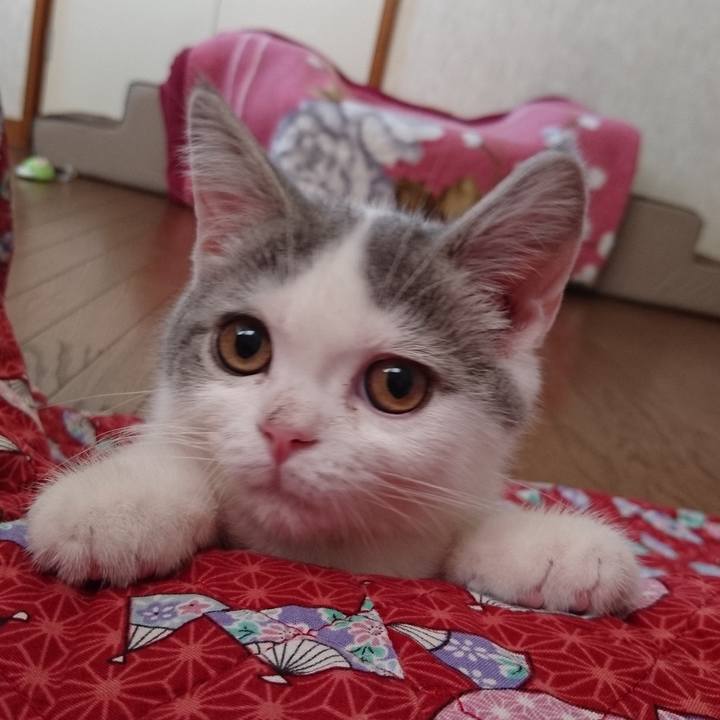 069dde38 ae7a 4638 ad2c f897c58756b9 1663587976423