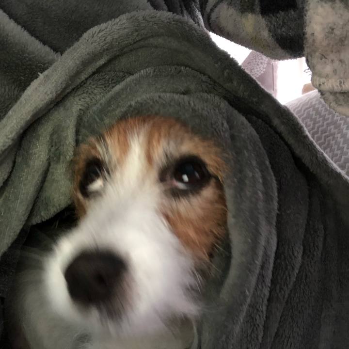 069defb7 7ecb 4532 b5cd 9e26507bae31 1613129722046