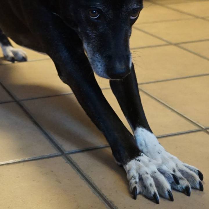 069e33d5 0f8d 4b2a a282 6db6c9c56835 1763686404834