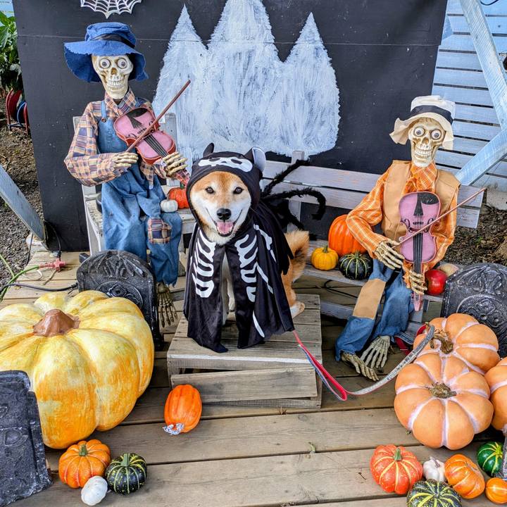 069e3882 480b 44d8 952f 1c974cc6538f 1760332225005