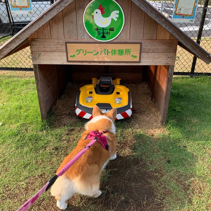 069e4bf3 d470 4a59 ae92 d0fbd8ebeaf4 1654301756150