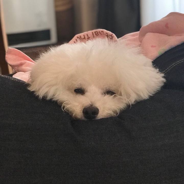 069e54e8 8205 439f 8652 3c87b7ad69c5 1555283442901