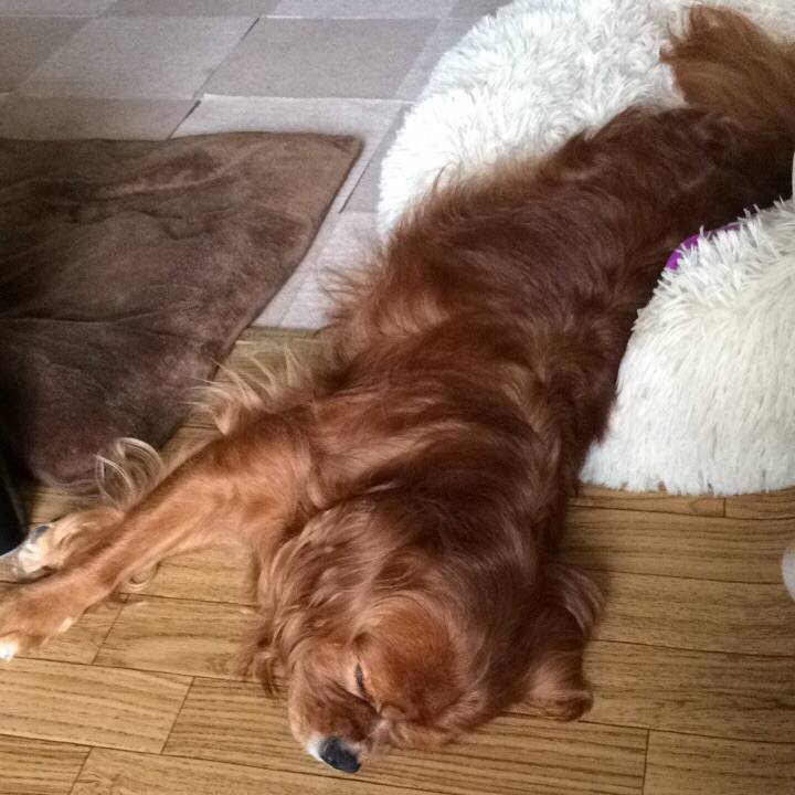 069e7401 74a5 4171 a98f 06559fdfd276 1623846603547