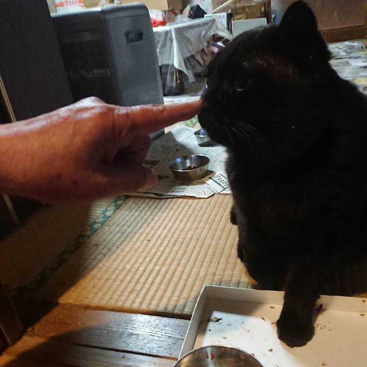 069eb07d ff3a 4e3b 953d b510544118d6 1618392205081