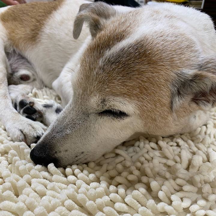 069eb1a3 c210 4ebd 906b 547ad4ac7317 1685365020705