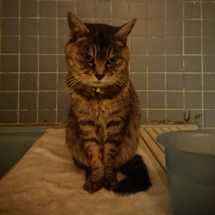 069ecac5 da11 4b3d b9c2 532afea6f3ae 1575629669110