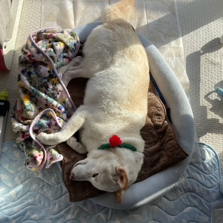 069f0e4a ec37 431e aa62 2f0d45a18a95 1639743386814