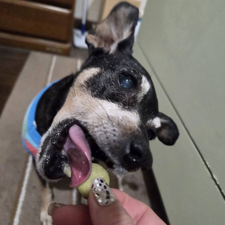 069f0ec7 df1b 490c 8a19 ba39d2626cb4 1766173742402