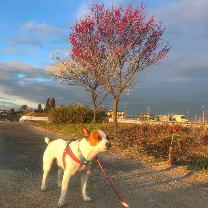 069f1158 f098 42cb a15f 31a3d1e46a6c 1520592902533