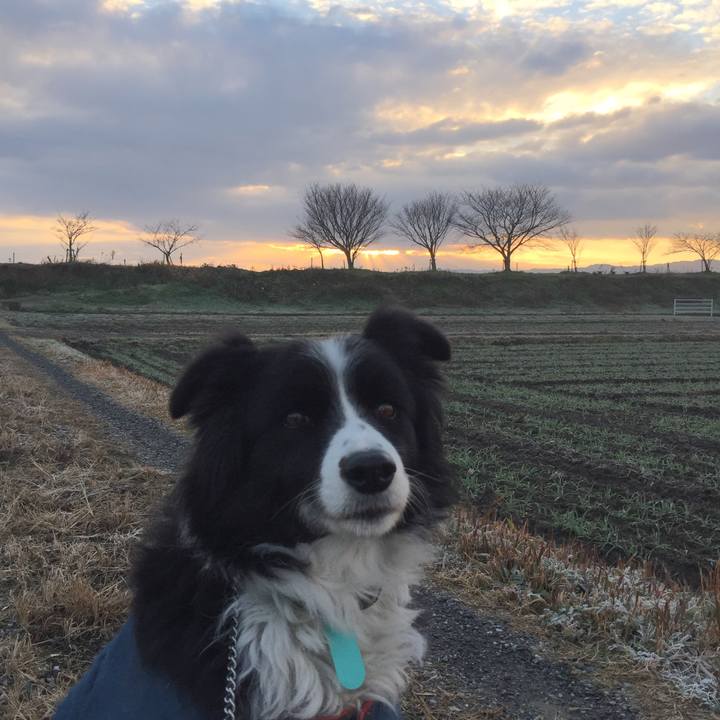 069f1e71 70fd 454b abb0 81aff558df64 1578180740188