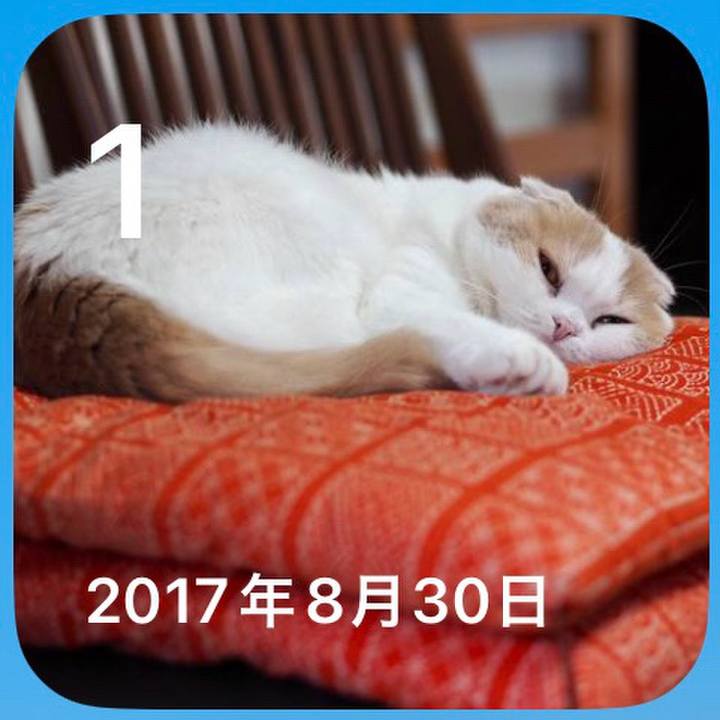 069f3416 a694 40ce 933f 02840ad51eb7 1788266612594