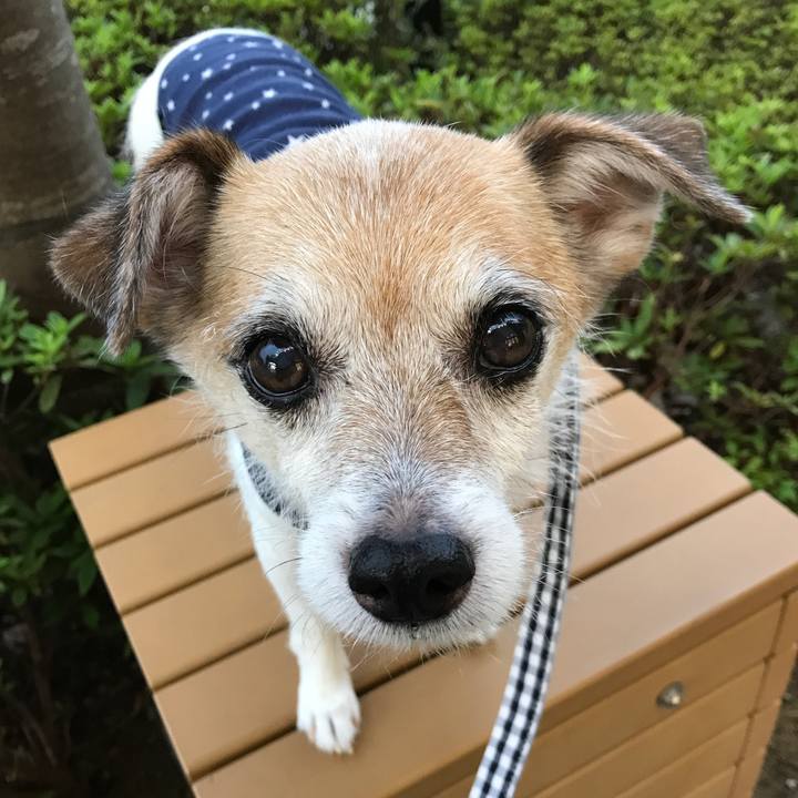 069f3492 c6f9 4129 9a5c fddb48629a37 1661422611999