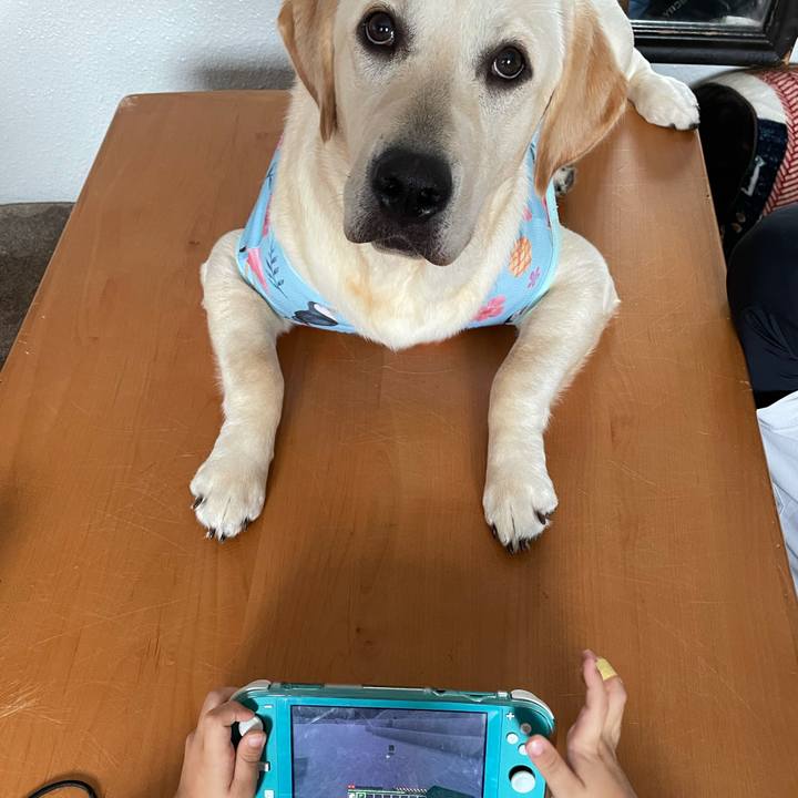 069f67a0 7a14 42f4 bb50 de21445370fa 1625905966962