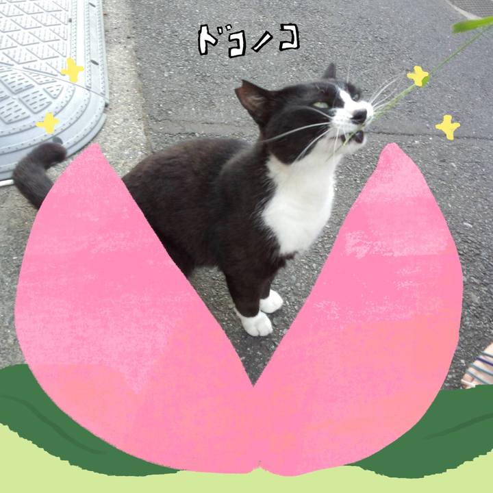 069f7f5a eb50 462a ae29 768aa1e57c49 1771848494252