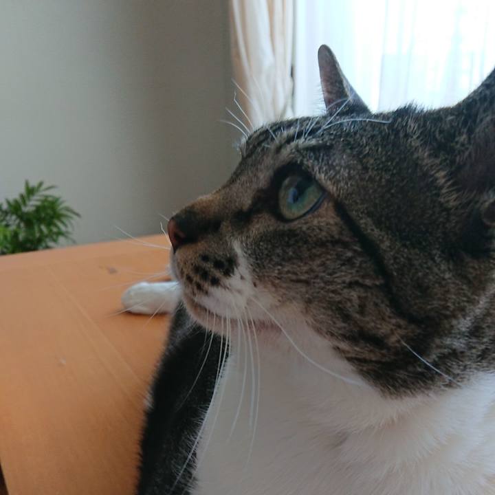 069f869a f362 4dee ab87 bb2150367f0d 1558827215677