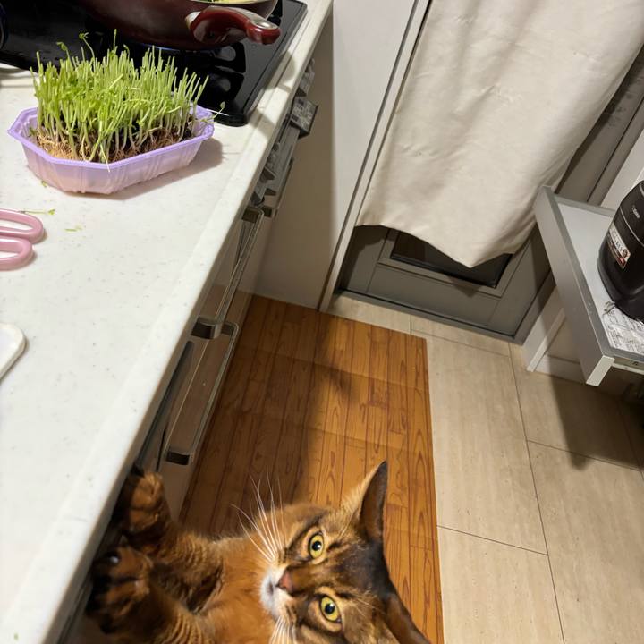 069fd469 c4a7 4089 8e21 15cf9672fe5f 1761824822365