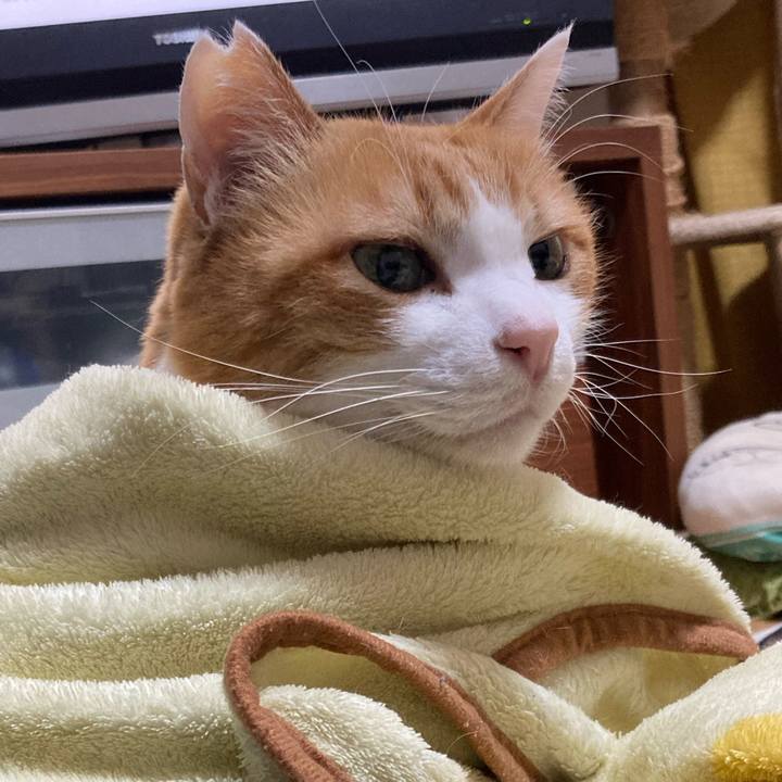 069fdb97 02f5 424e bec2 79ae00f23edc 1771774607482