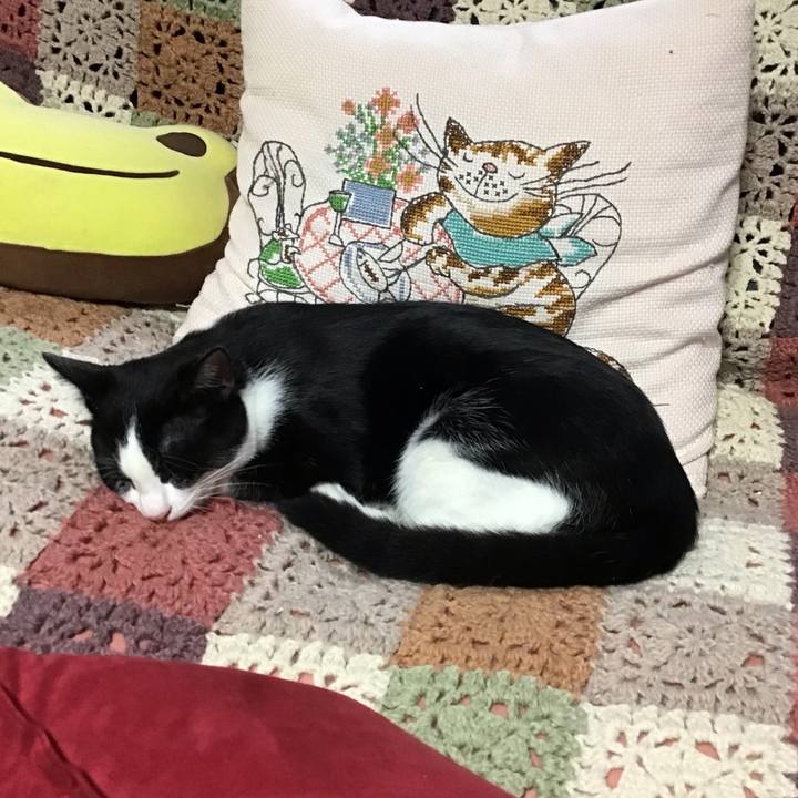 069fe3de 99d6 47be 8320 0579c07b51d8 1632647649949