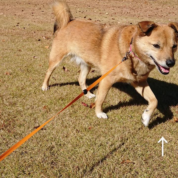 069fe41b aa6f 47ad 89e4 7d87f0f52e2d 1688128244326