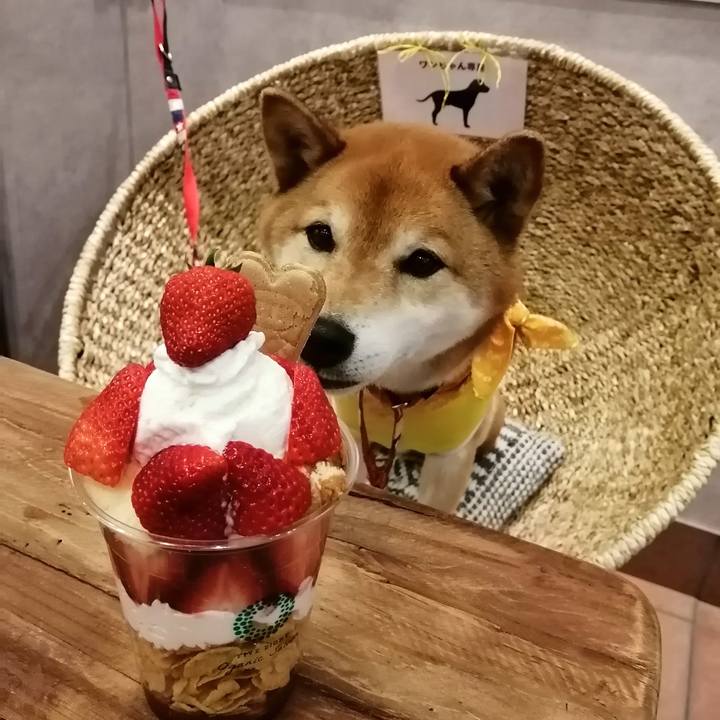 06a030f2 63ac 4d5c 9bec 75868353ad0b 1650905371248