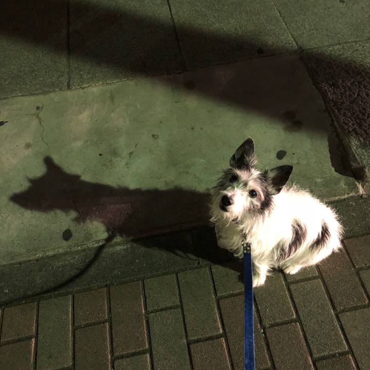 06a0433e 601d 4543 b7ef c00e87ba7c2f 1523792948805